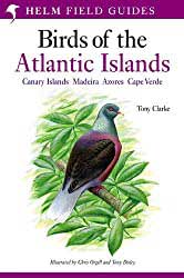 A Field Guide to the Birds of the Atlantic Islands: Canary Islands, Madeira, Azores, Cape Verde: order this book from Amazon.
