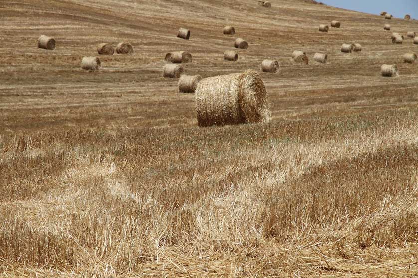 The countryside surrounding Castro Verde, Alentejo, Portugal.