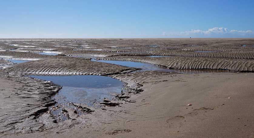 Ayamonte, Huelva, Andalusia, Spain.
