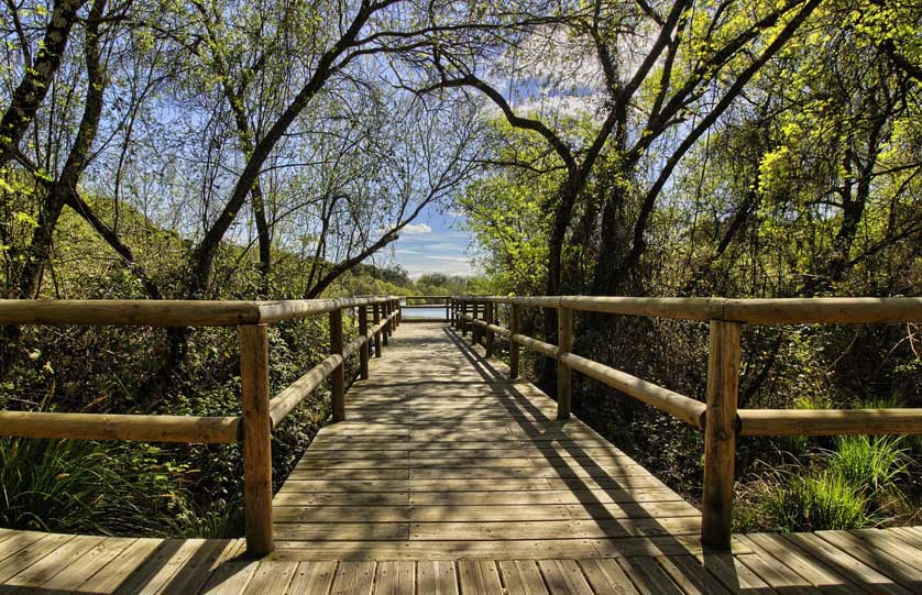 Doñana National Park, Spain.