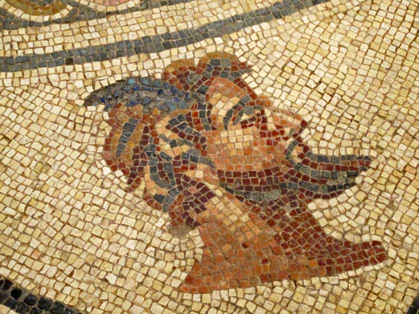 Roman mosaic in the Museu Municipal de Faro, Faro, Algarve.