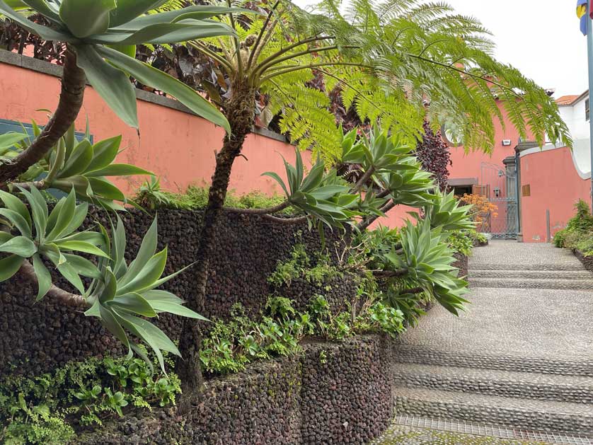 The small garden at the side of the house.
