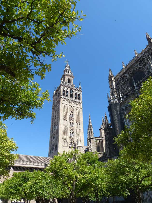 The Giralda (left) and Cathedral (right).