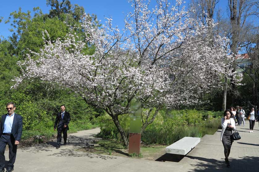 Gulbenkian Garden, Lisbon.