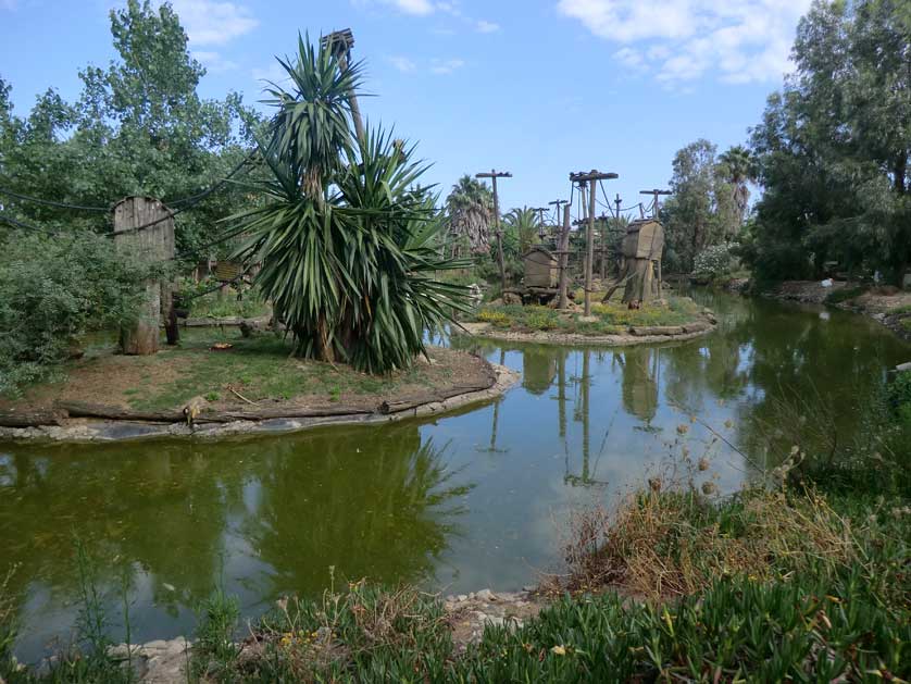 Lagos Zoo, Algarve, Portugal.