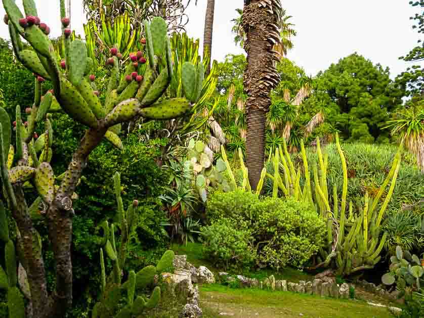 Ajuda Botanical Gardens, Belem, Lisbon, Portugal.