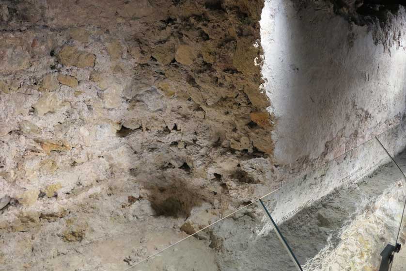 The wall of King Dinis.