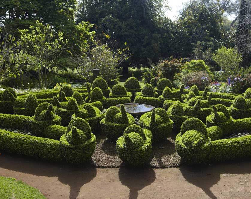 Palheiro Gardens, Funchal, Madeira, Portugal.