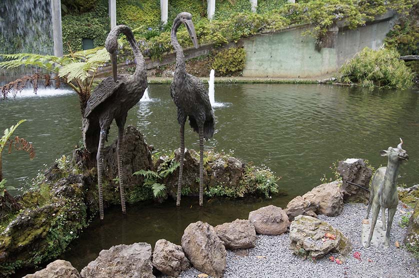 Botanical Gardens, Madeira.