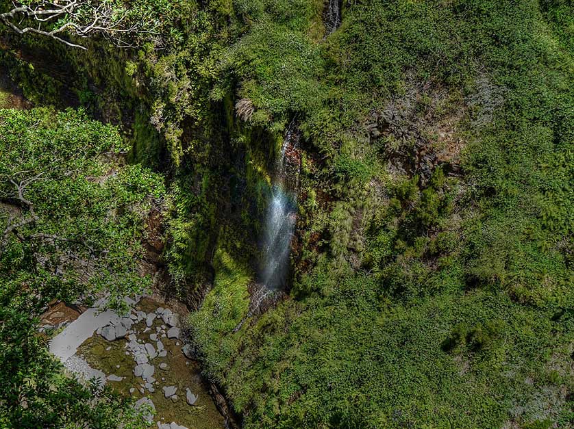 Through The Valley, Madeira.
