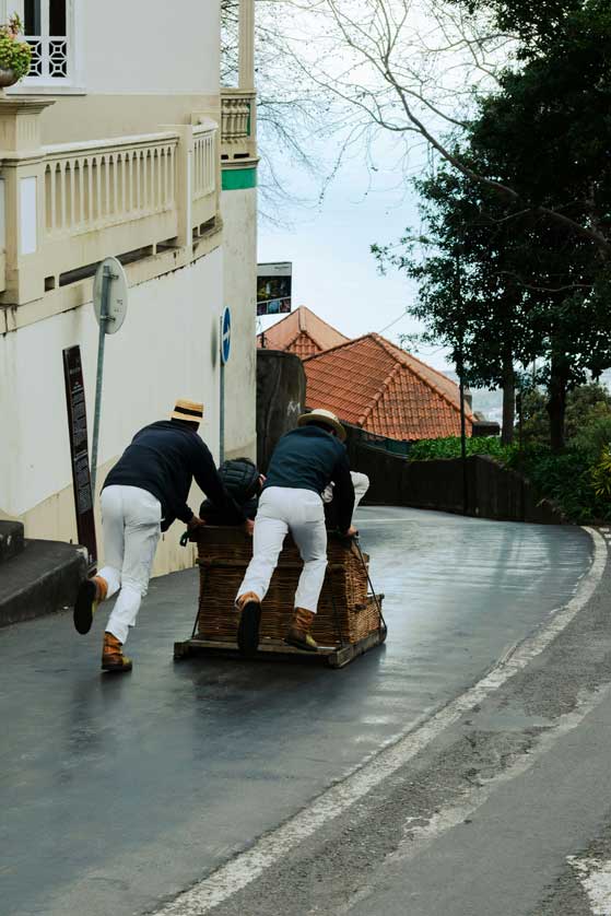 Getting Ready Getting Ready, Madeira.