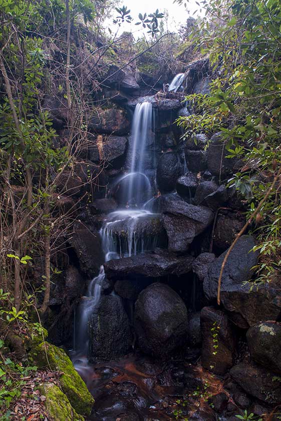 Beckford's Waterfall (Cascata de Beckford) Palácio de Monserrate.
