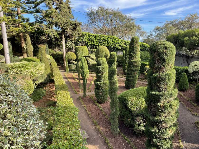 The topiary section of the garden.