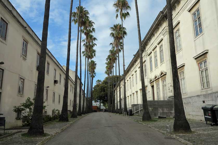 National Museum of Natural History and Science, Lisbon.