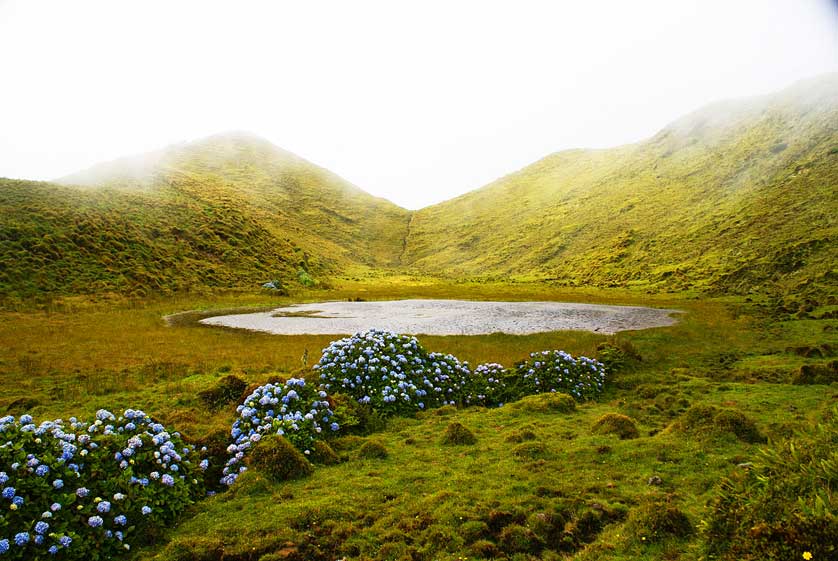 Pico, Azores, Portugal.