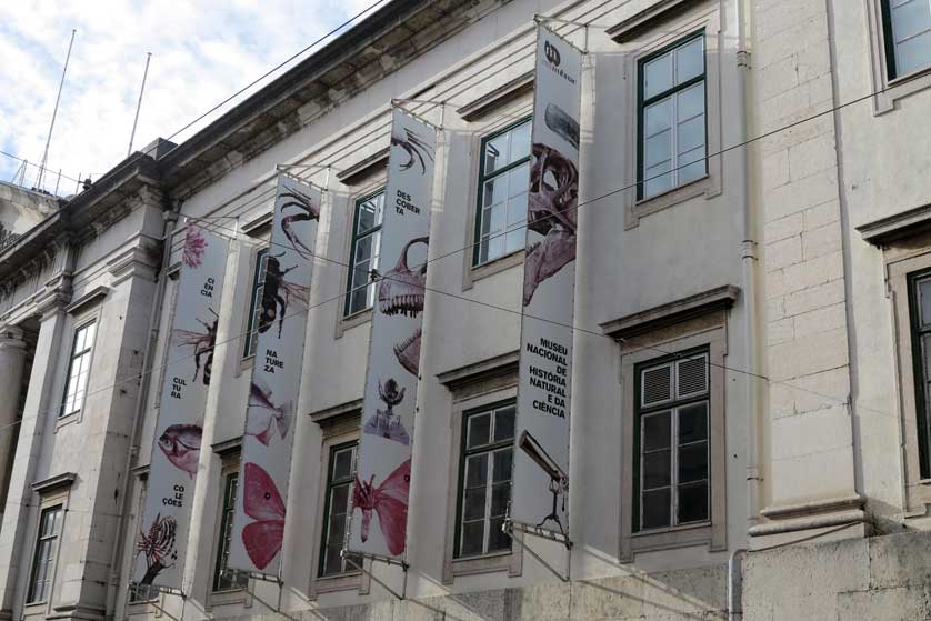 National Museum of Natural History and Science, Lisbon.