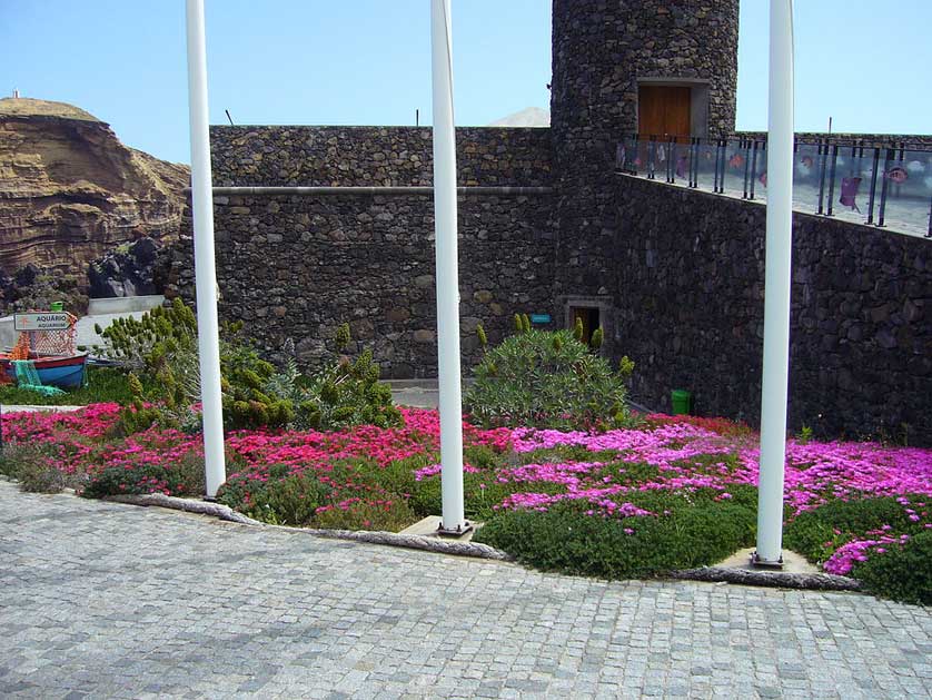 The aquarium is inside the old castle building.