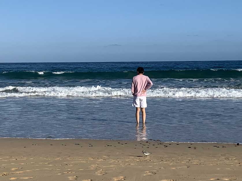 Praia do Ribeiro Cochinho.
