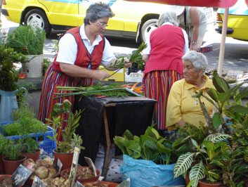 Flower Ladies, Funchal, Madeira, Portugal.