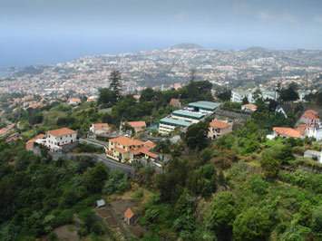 Funchal Gardens and City, Madeira.
