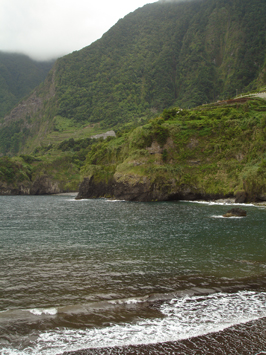Lush Green North, Madeira.