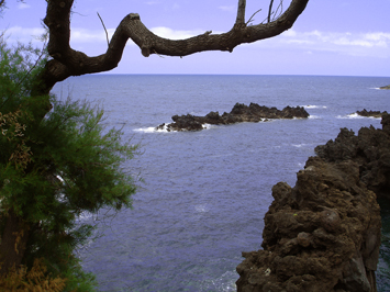North Coast, Madeira.