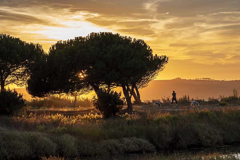 September in Portugal.