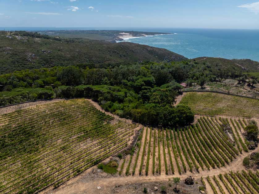 Quinta Vale da Roca.