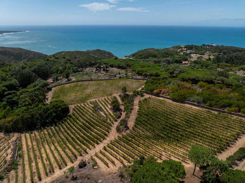 Quinta Vale da Roca.