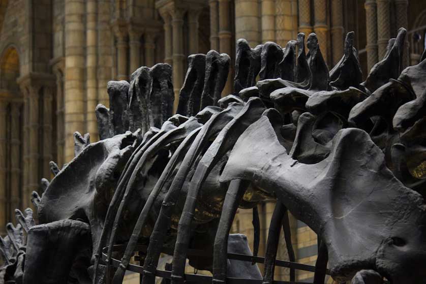 Time Traveler's Guide: Exploring Destinations with a Rich History.