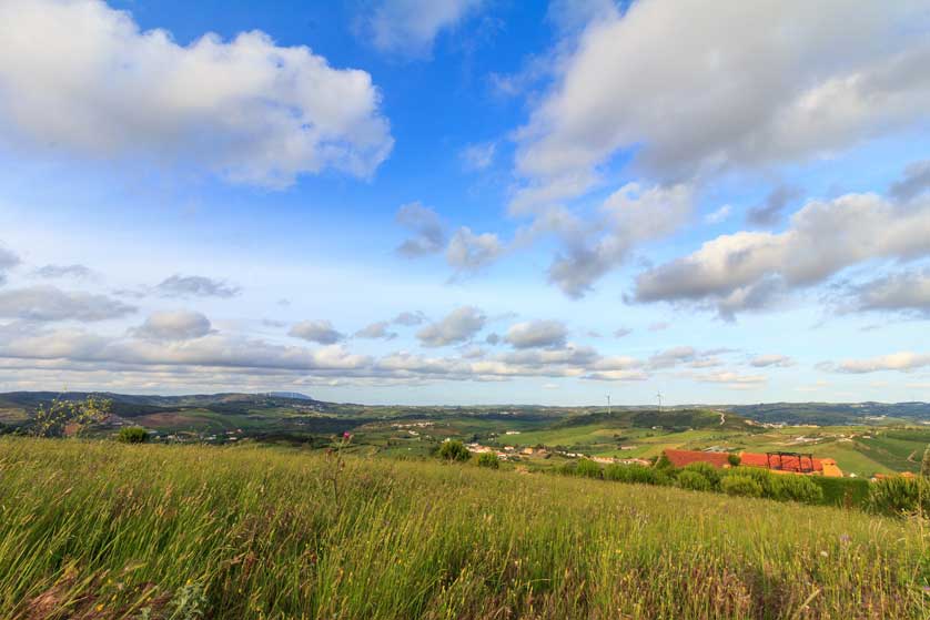 The rich agricultural land surrounding Torres Vedras.