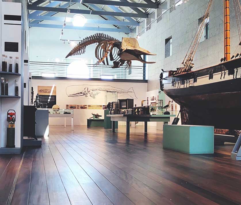Museo do Mar de Galicia.
